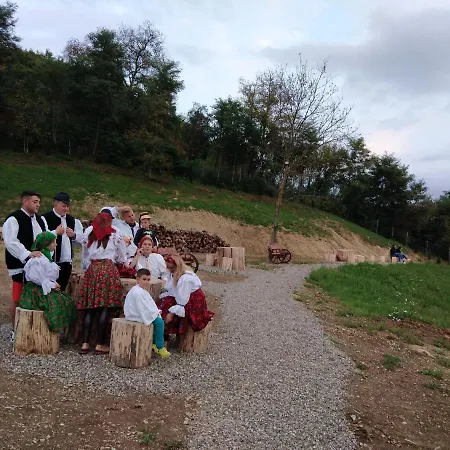 Gasthof Pensiunea Valea Branzei 3*