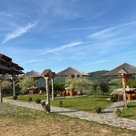 Pensiunea Valea Branzei 3*