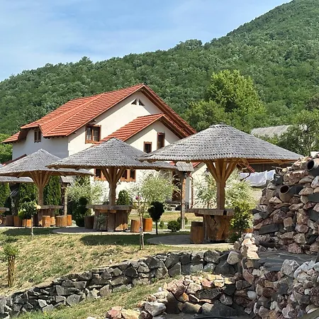 Vendégház Pensiunea Valea Branzei 3*