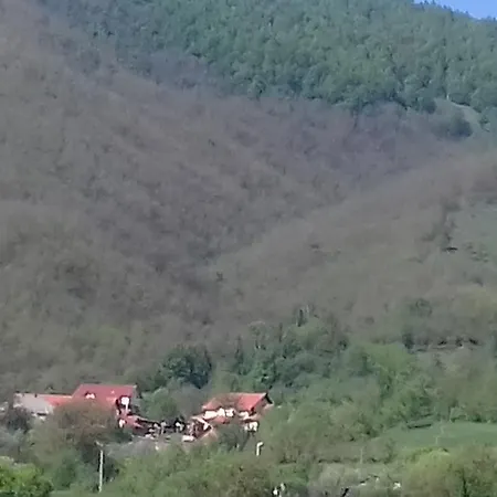 Pensiunea Valea Branzei 3* Nánfalva