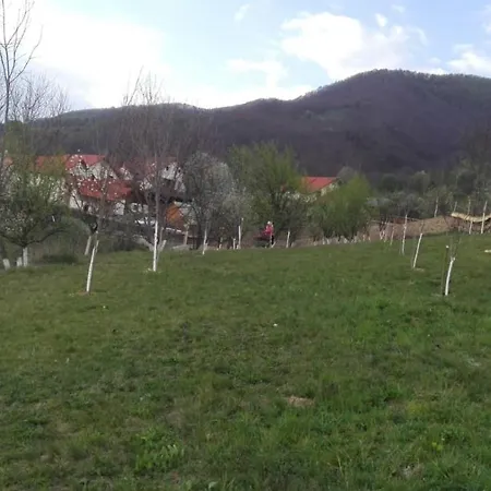 Pensiunea Valea Branzei Gasthof